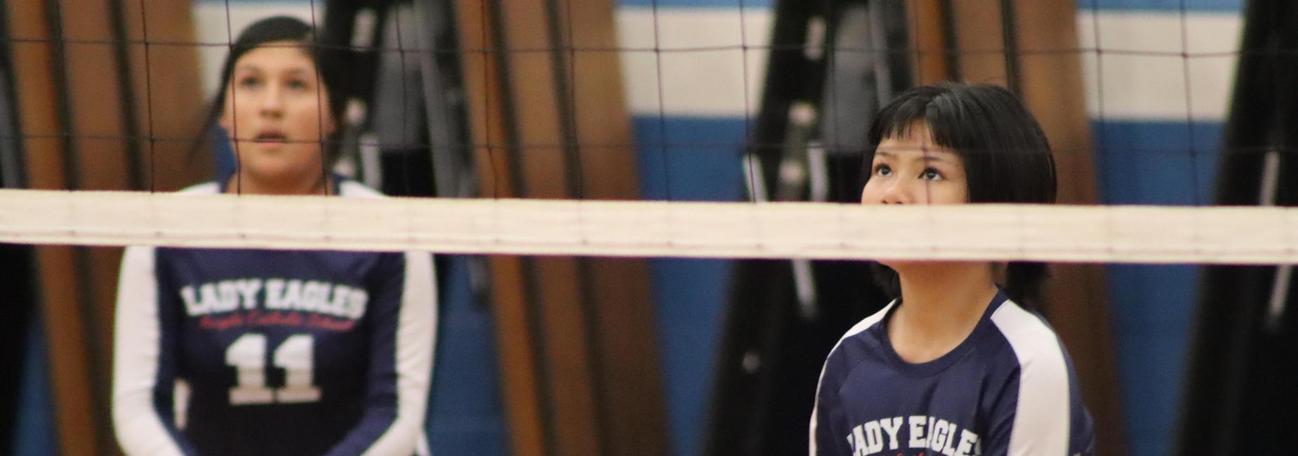a team volleyball