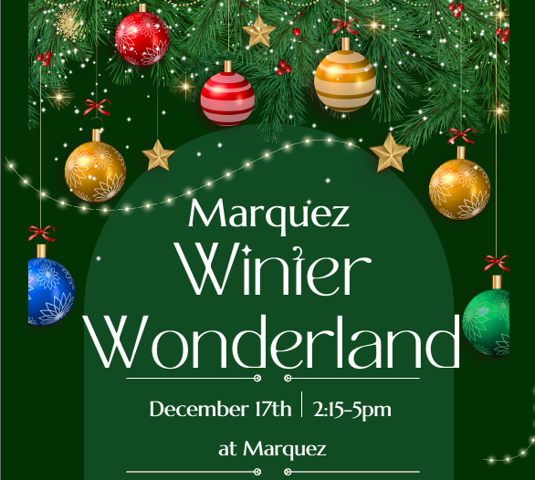 Winter Wonderland Featured Photo