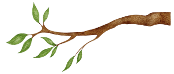 tree limb graphic