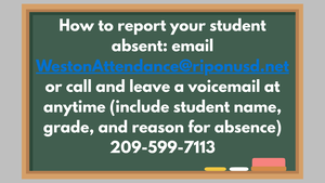 Absence Reporting