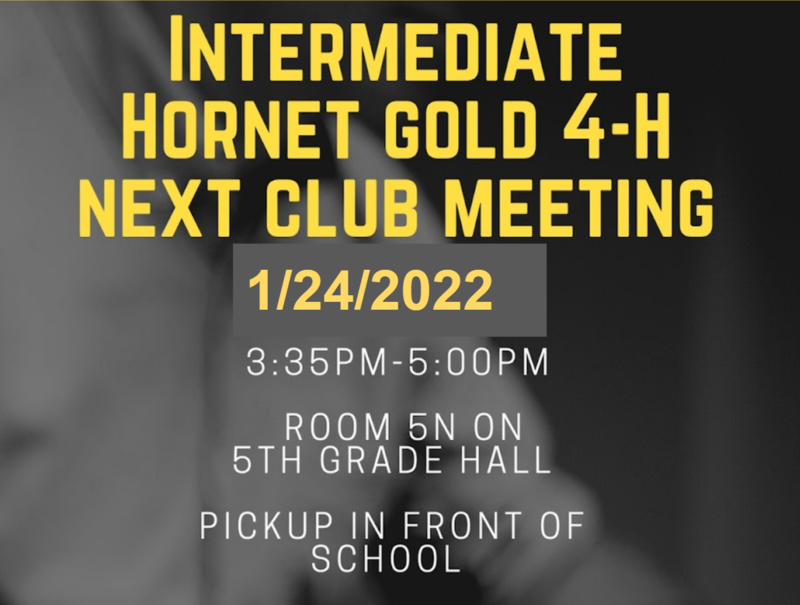 4H Hornet Gold Meeting Featured Photo