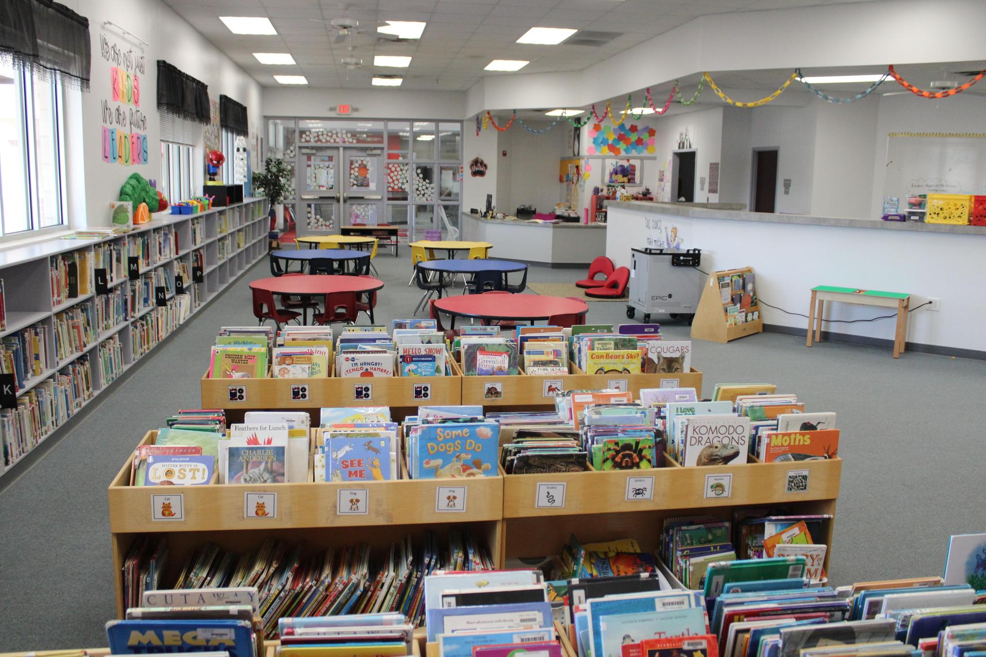 Primary school library with books on bookshelves