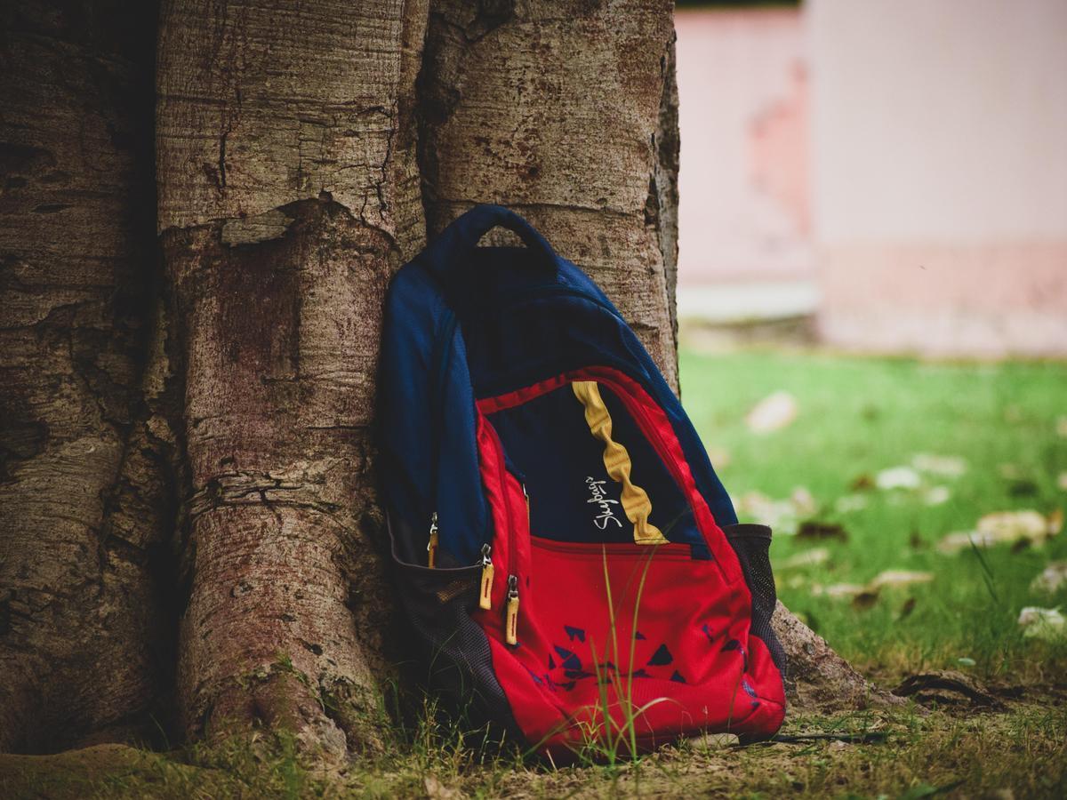 A backpack leaning against a tree trunk on green grass.
