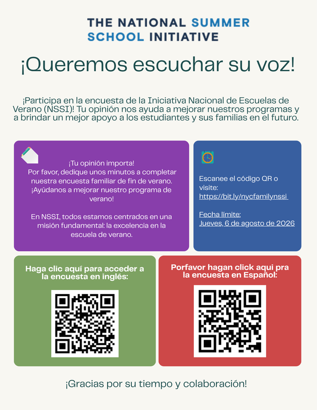 NSSI Spanish Flyer