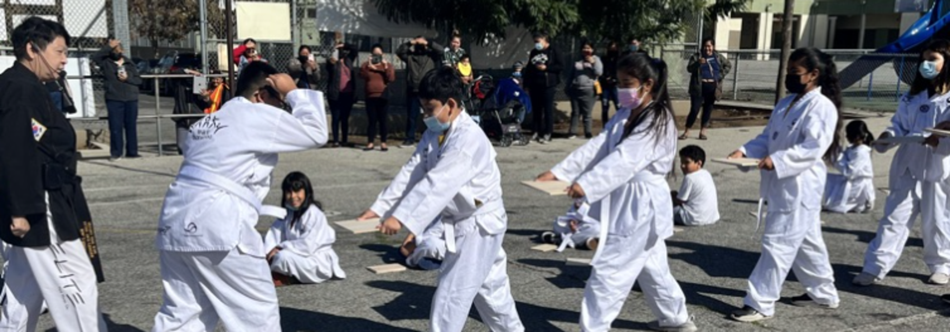 tkd
