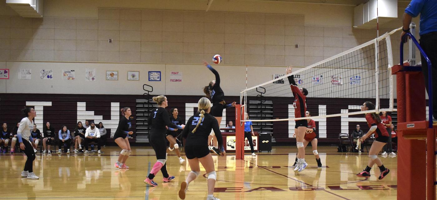 WHS Volleyball 2025