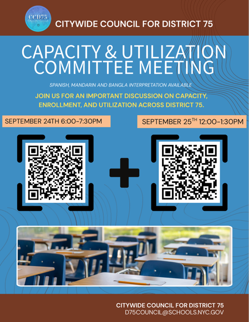 council D75 Meeting