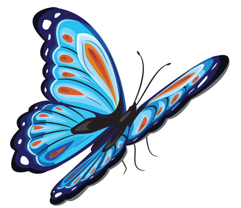 butterfly icon