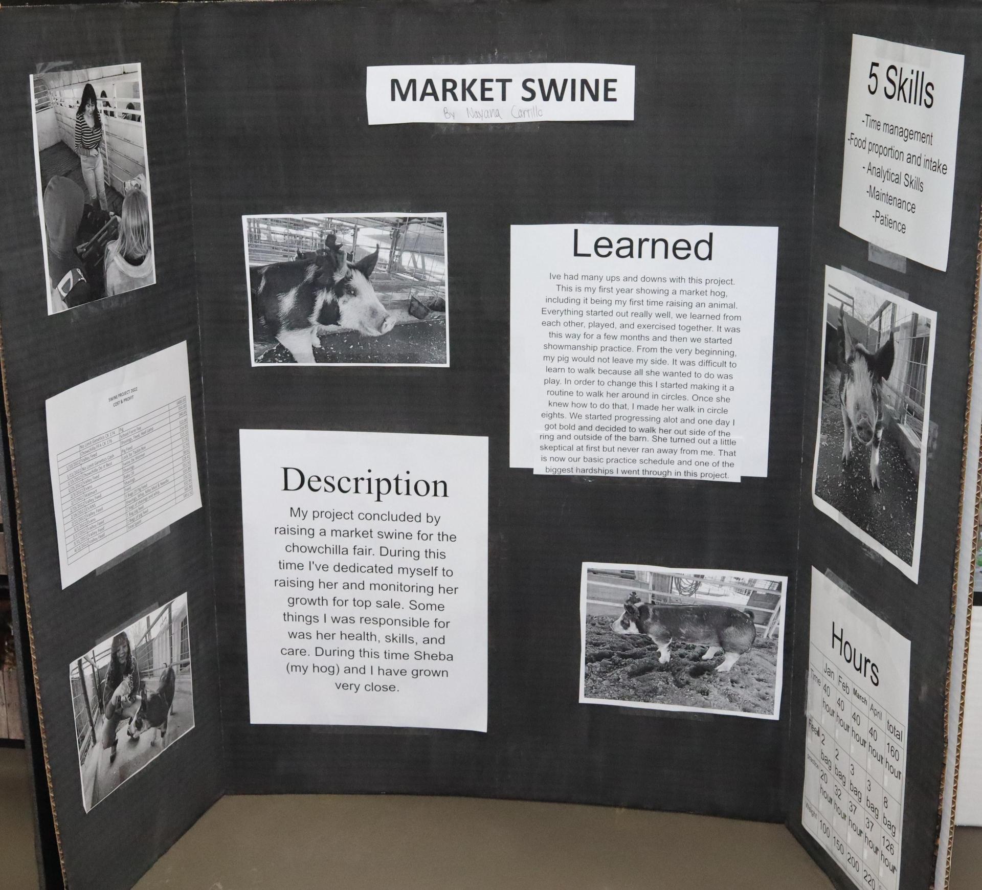 A Supervised Agricultural Experience trifold display