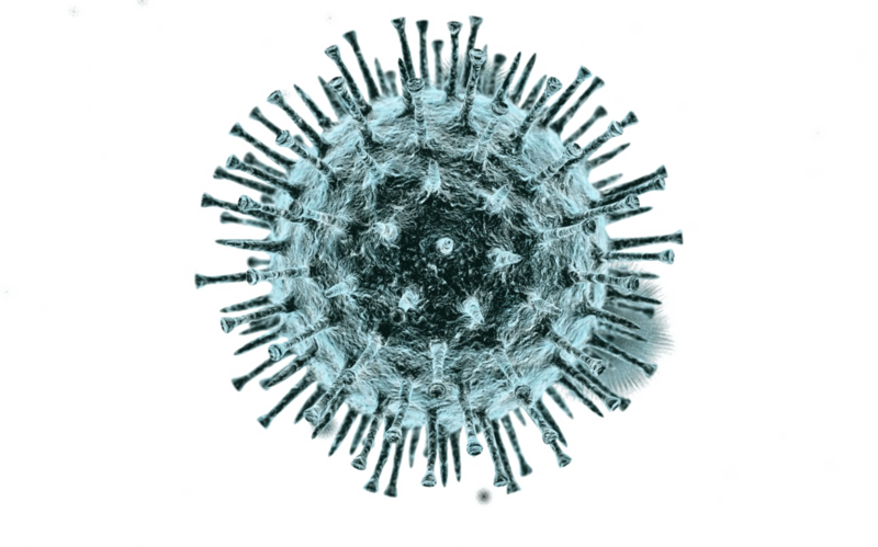 Coronavirus (COVID-19) Update