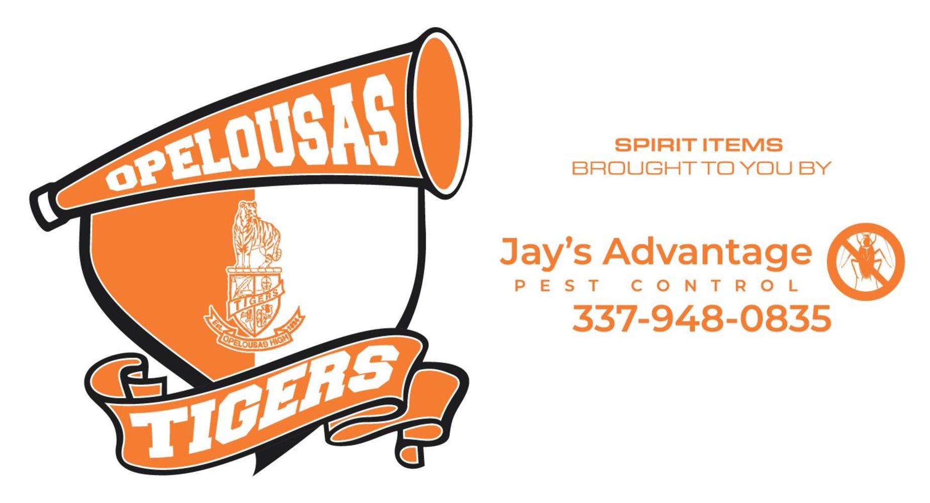 School Sponsor