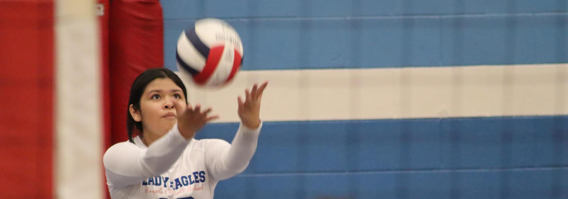 b team volleyball