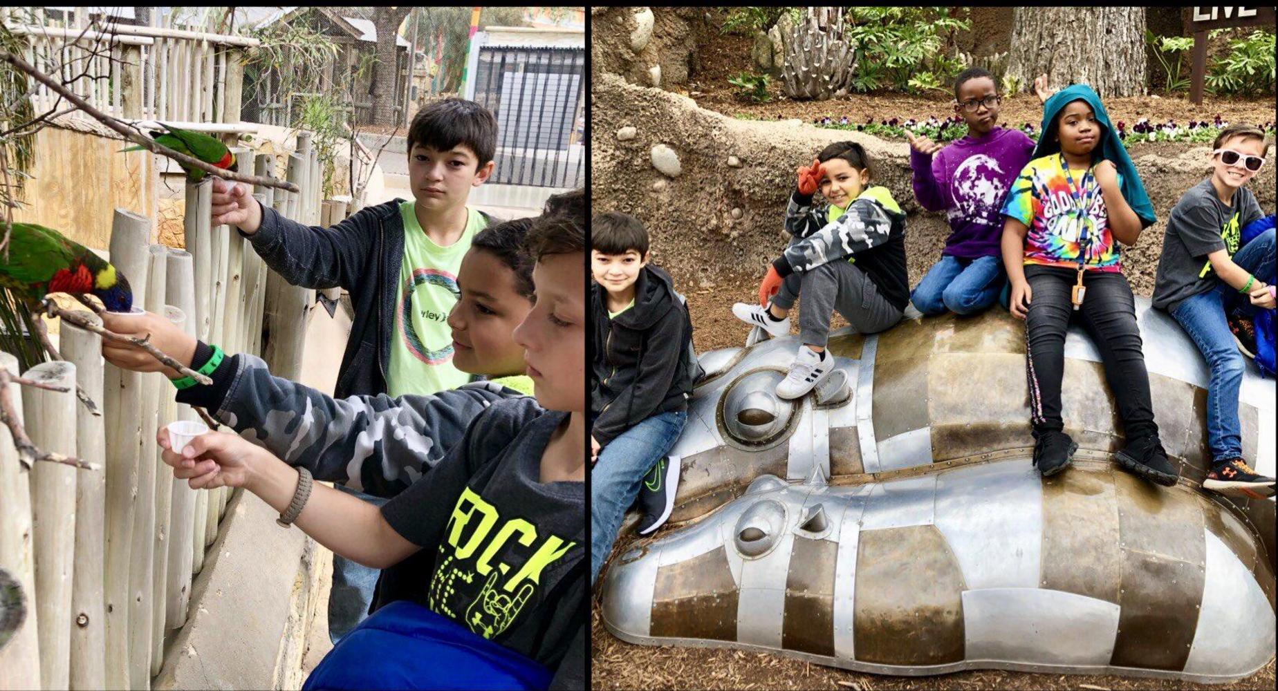 zoo