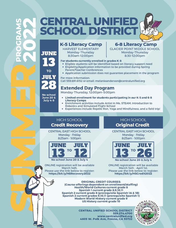 info flyer summer school