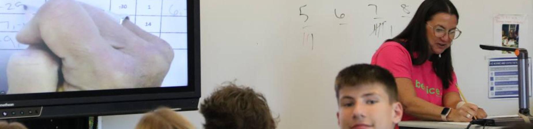 teacher teaching math on a promethean board.