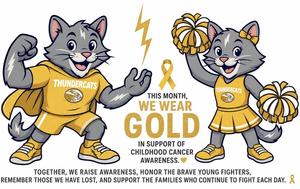 For the month of September wear gold in support of childhood cancer awareness.