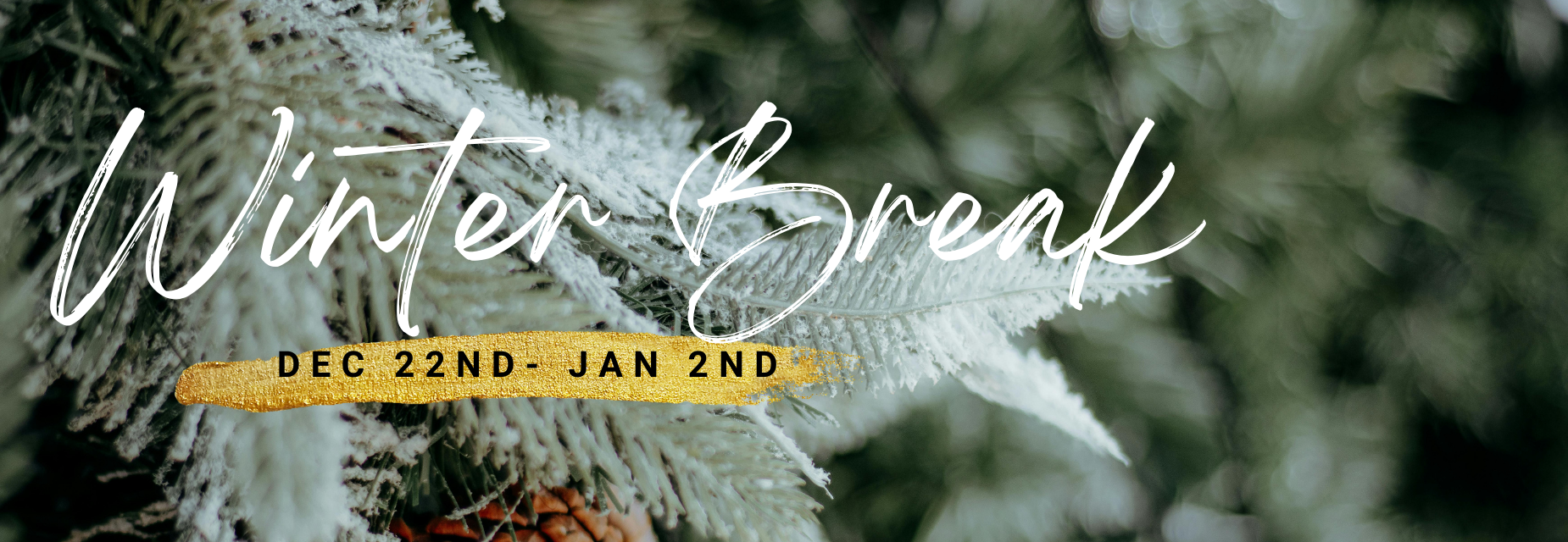 Winter Break