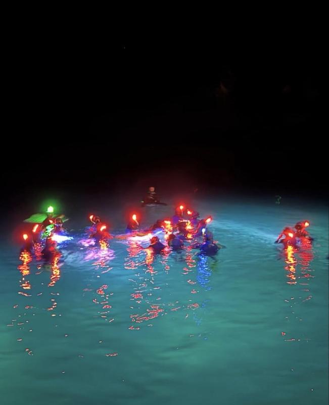 cimi night time snorkelling