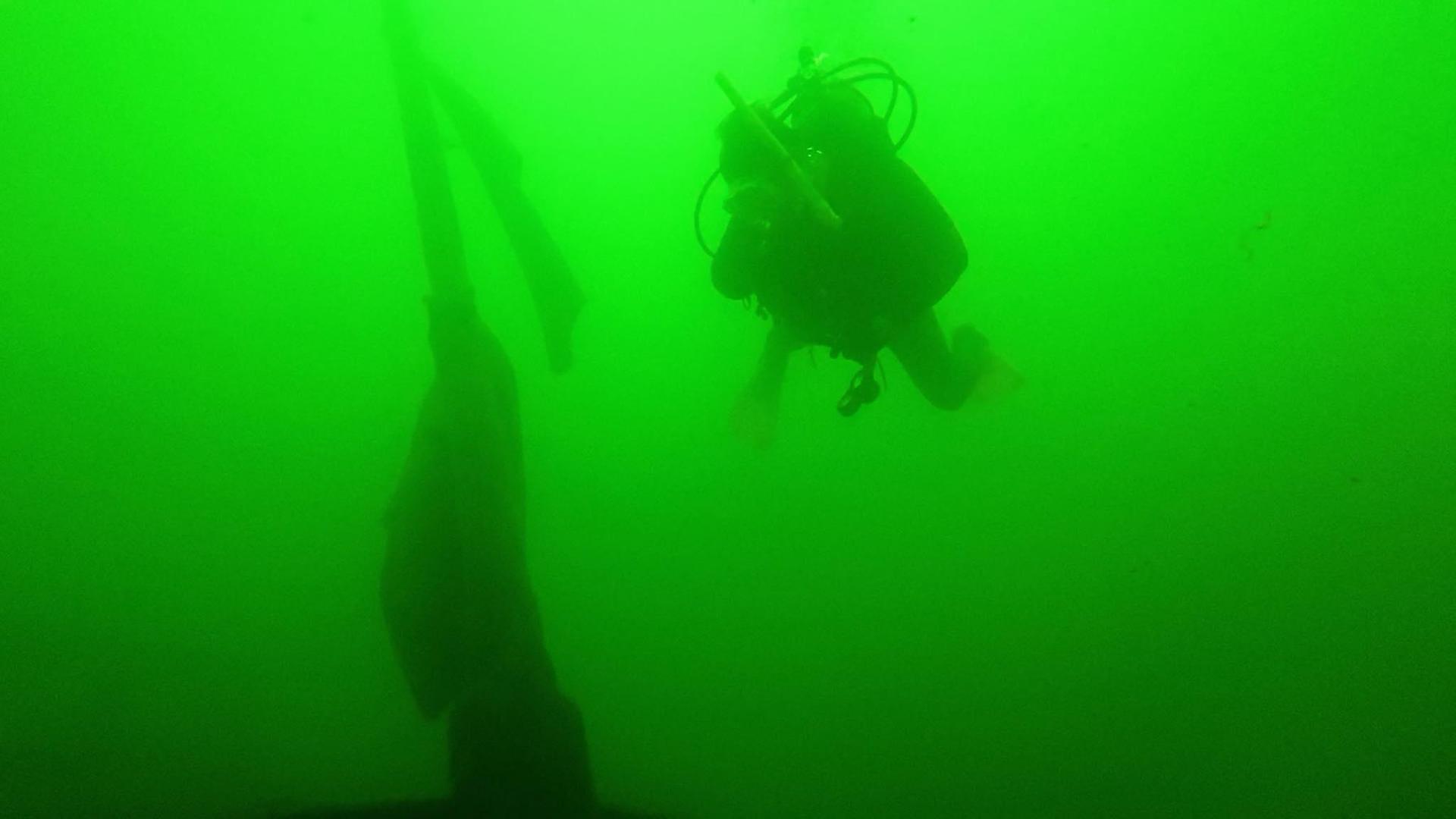Scuba diver in murky green water