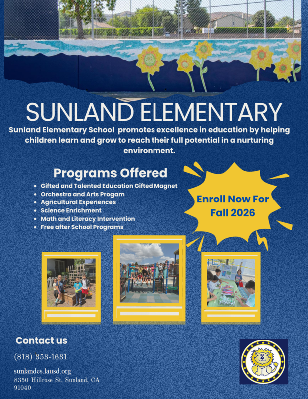 Flyer 2