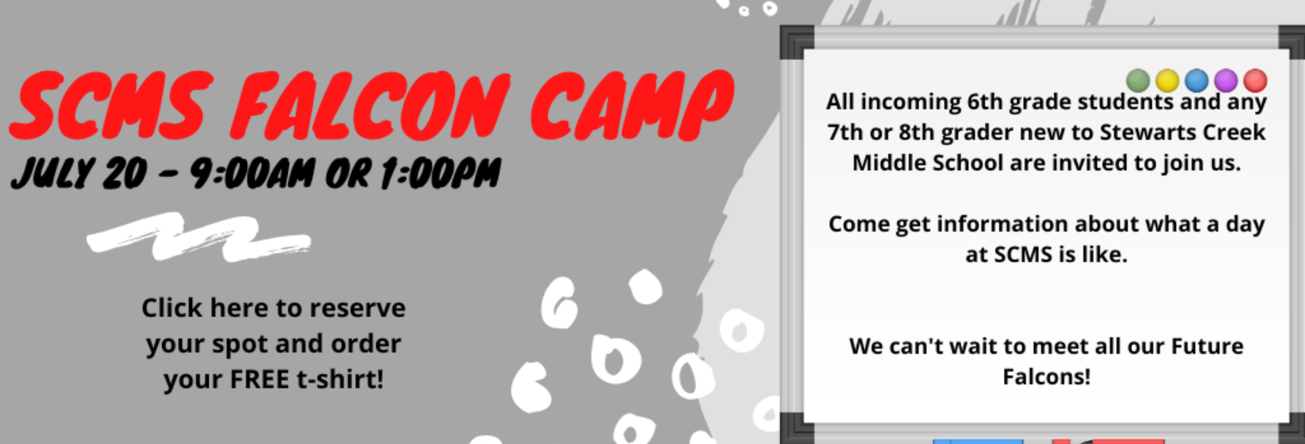 Falcon Camp