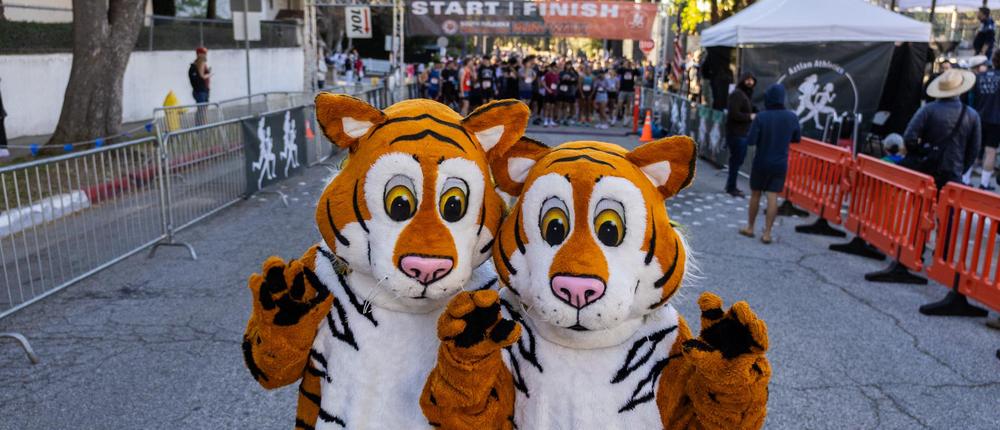 two tiger mascots in the foreground of the 5k run