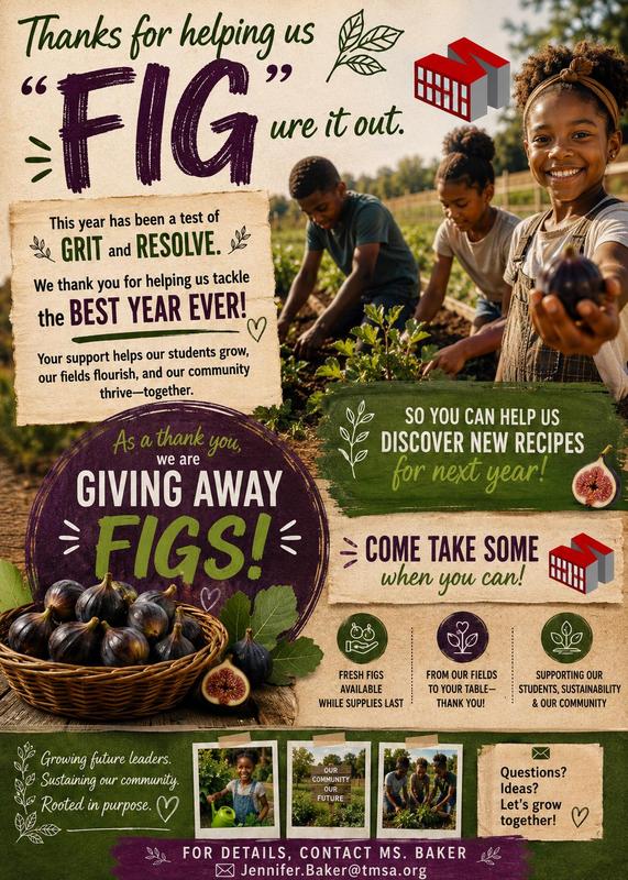 Fig Giveaway Featured Photo
