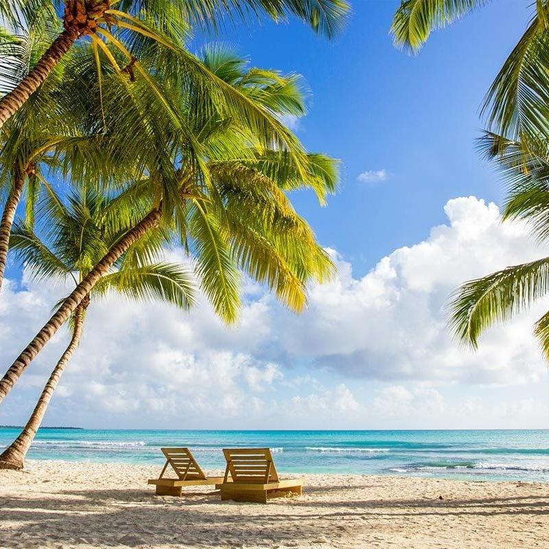 NadineLocke's Profile Photo