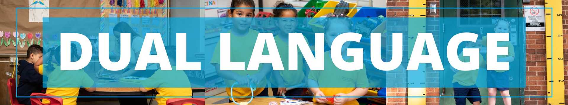 dual language classroom