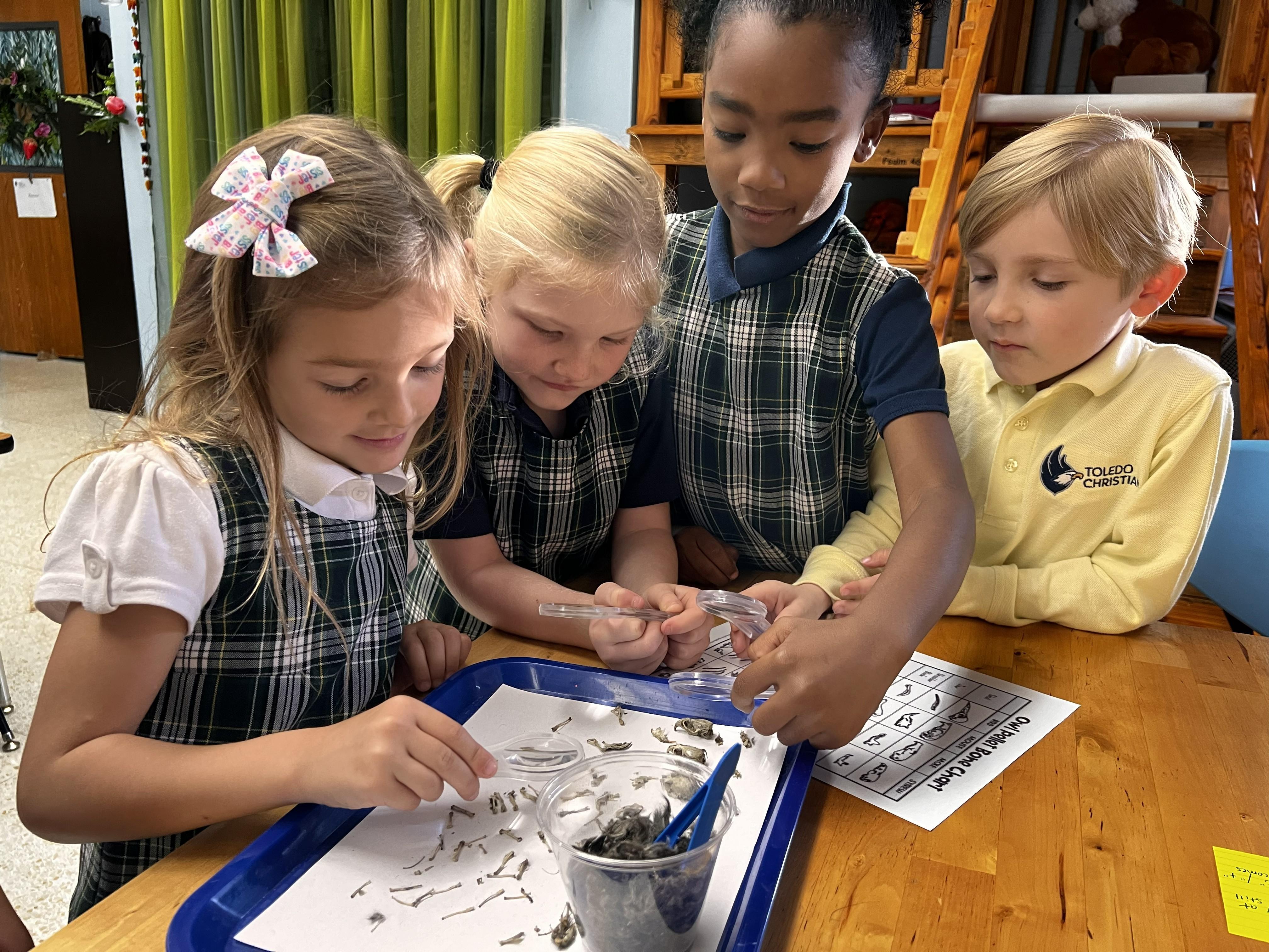 students working together