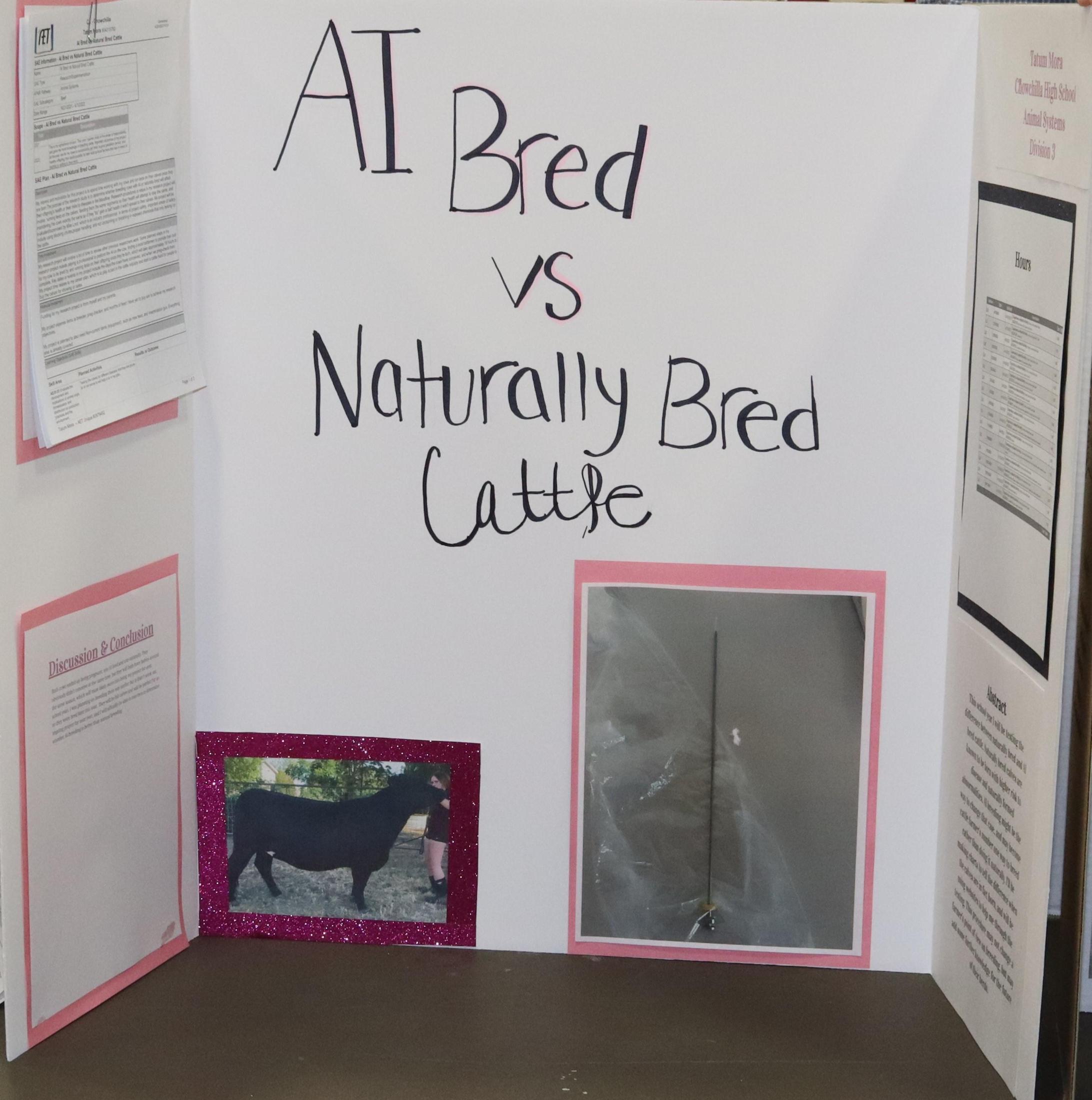 A Supervised Agricultural Experience trifold display