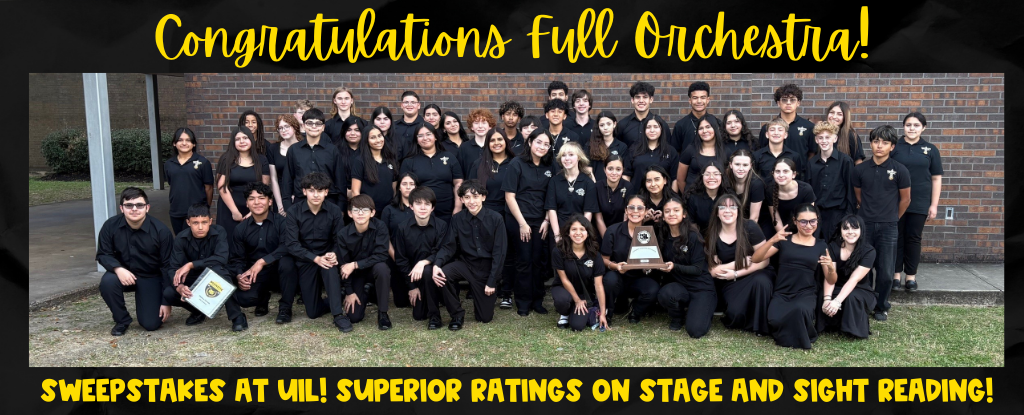 Large group photo of a school orchestra, celebrating their achievements.