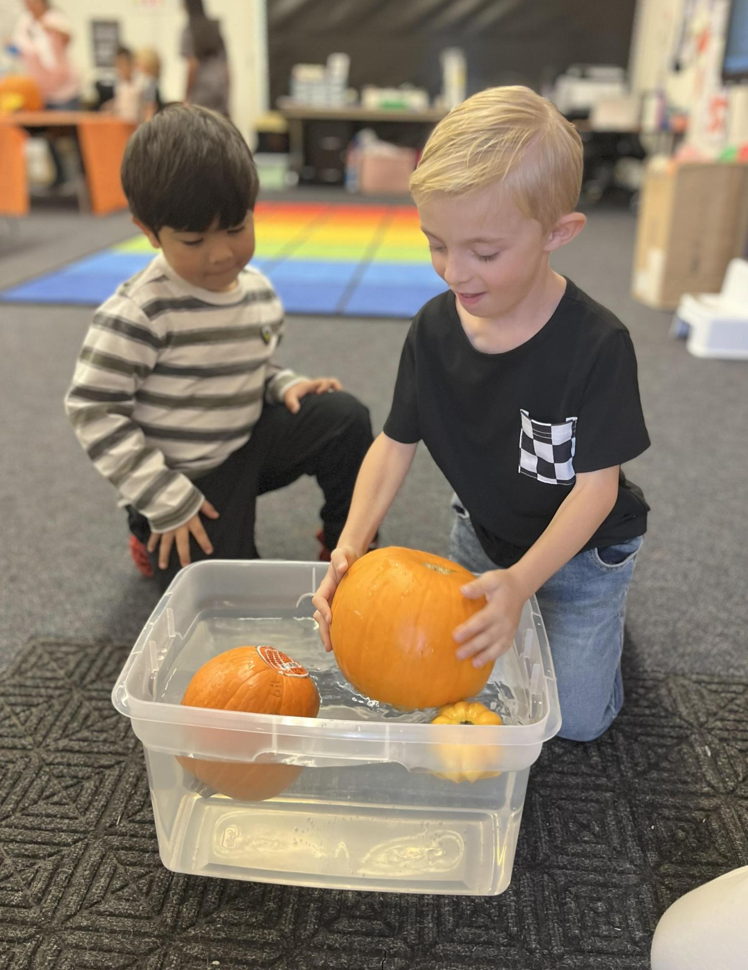 Students seeing if their pumpkins will float