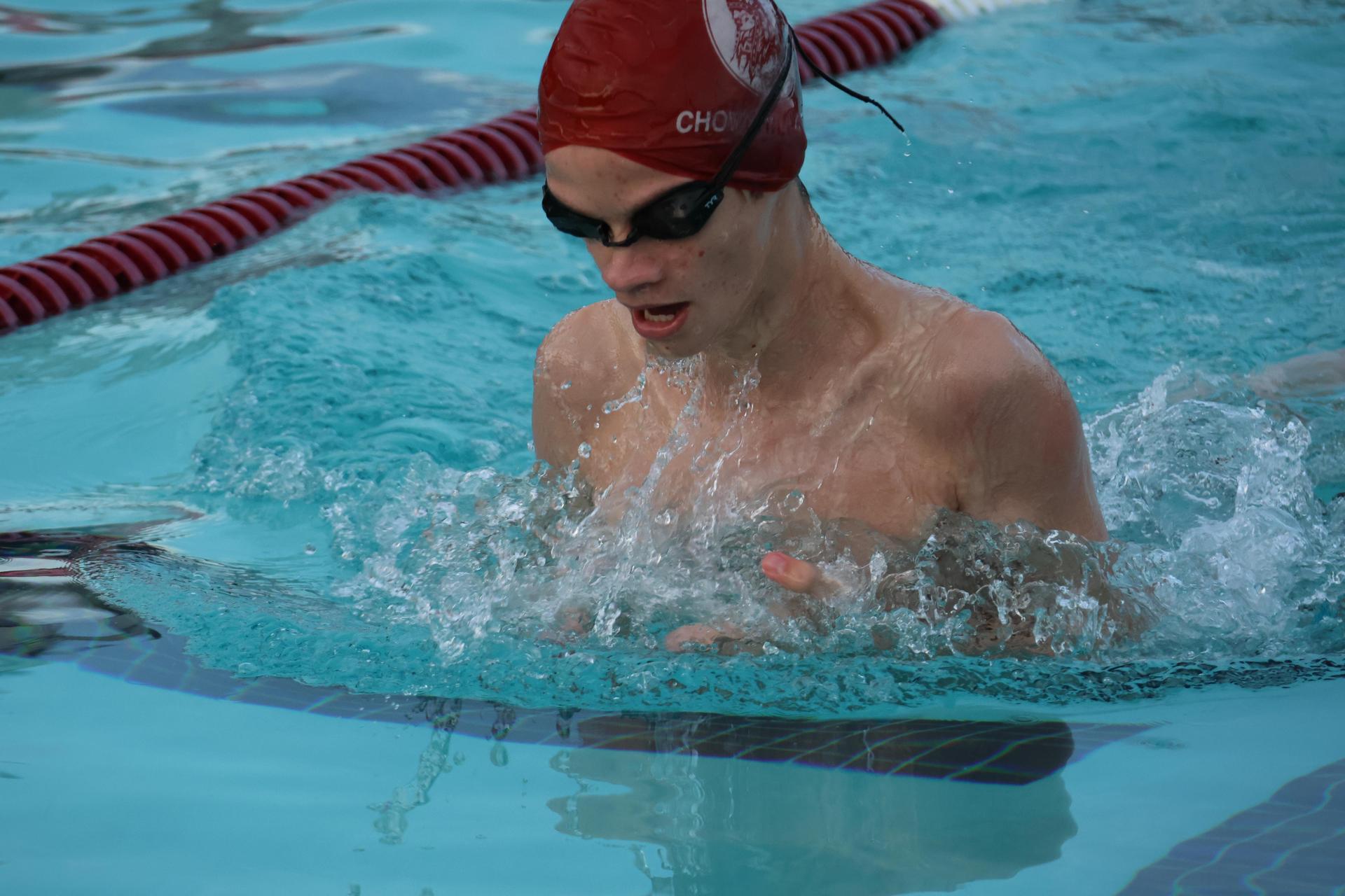 darren trapanese swimming