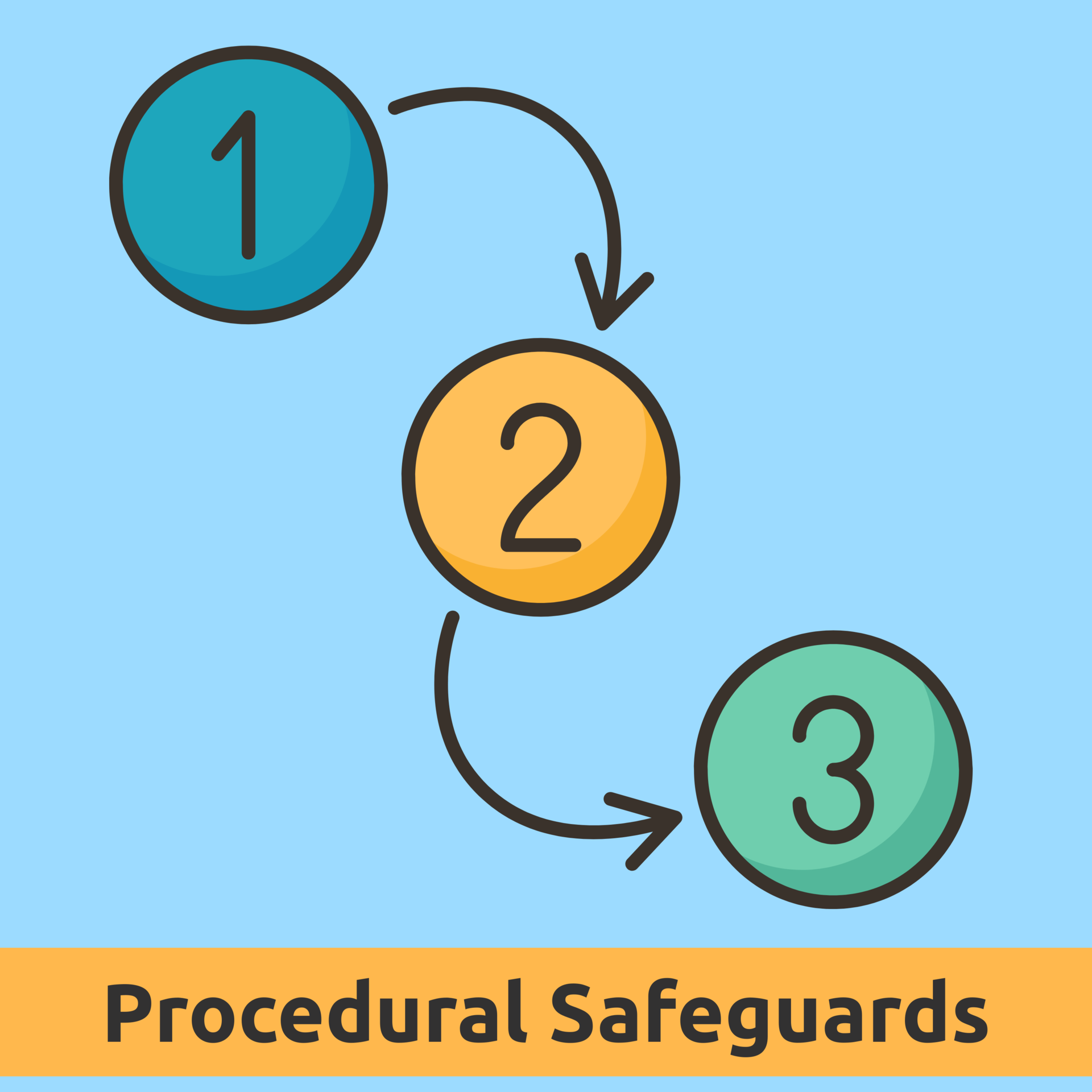 Procedural Safeguards