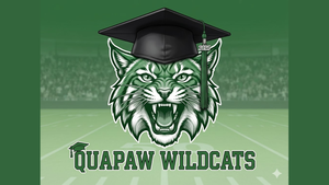 This is an image of a wildcat in a graduation cap, reflective of the thumbnail for the youtube video mentioned in the post.