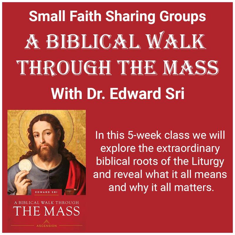 Biblical Walk Through The Mass