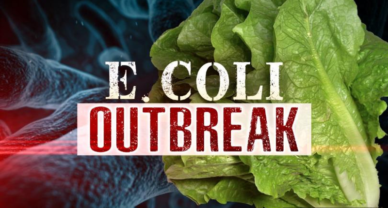 E.Coli in Romaine Lettuce Update Featured Photo