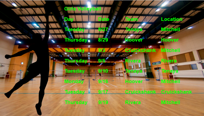 Girls Volleyball
