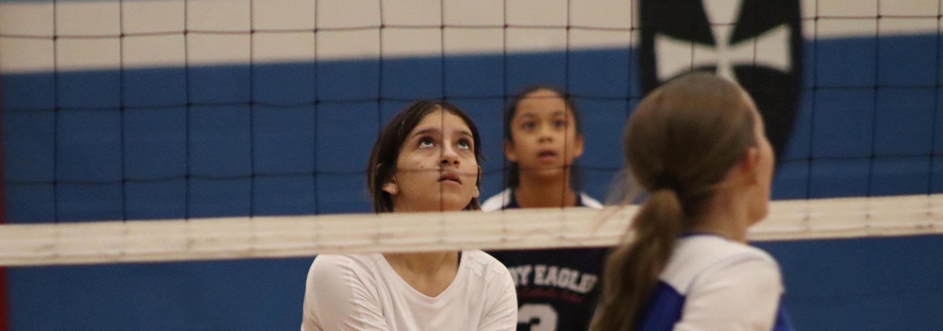 b team volleyball