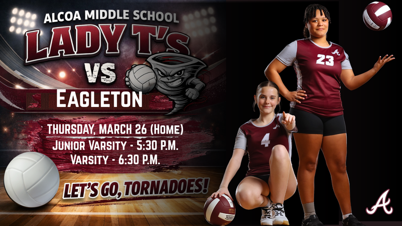 Volleyball Home Game