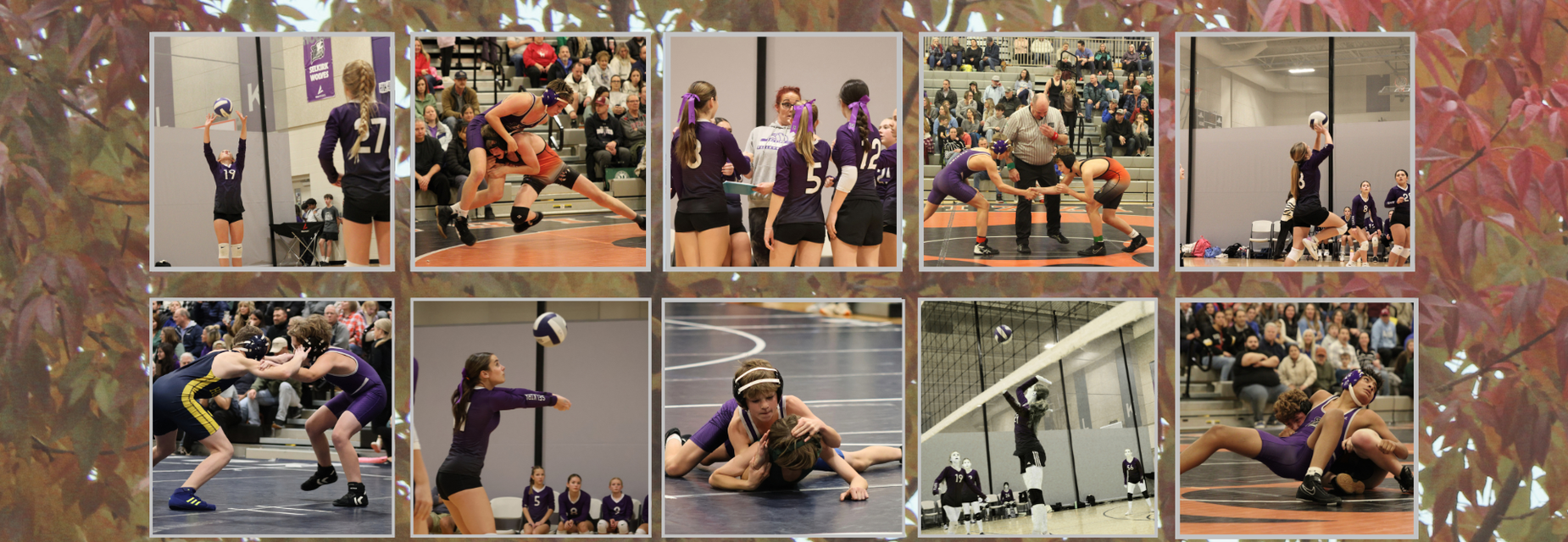 Volleyball and Wrestlers