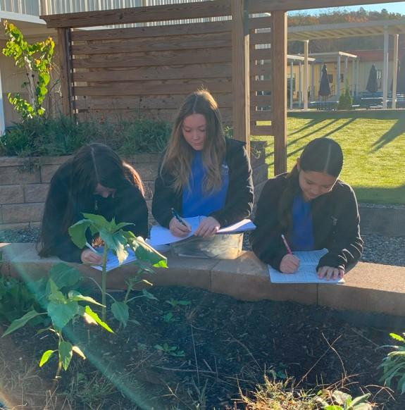 Students working in outdoor classroom