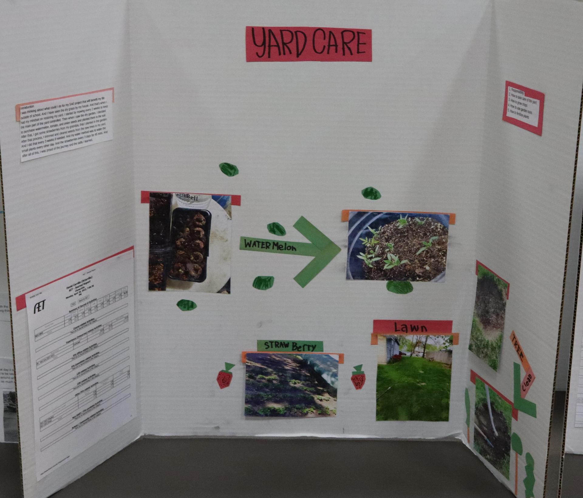A Supervised Agricultural Experience trifold display