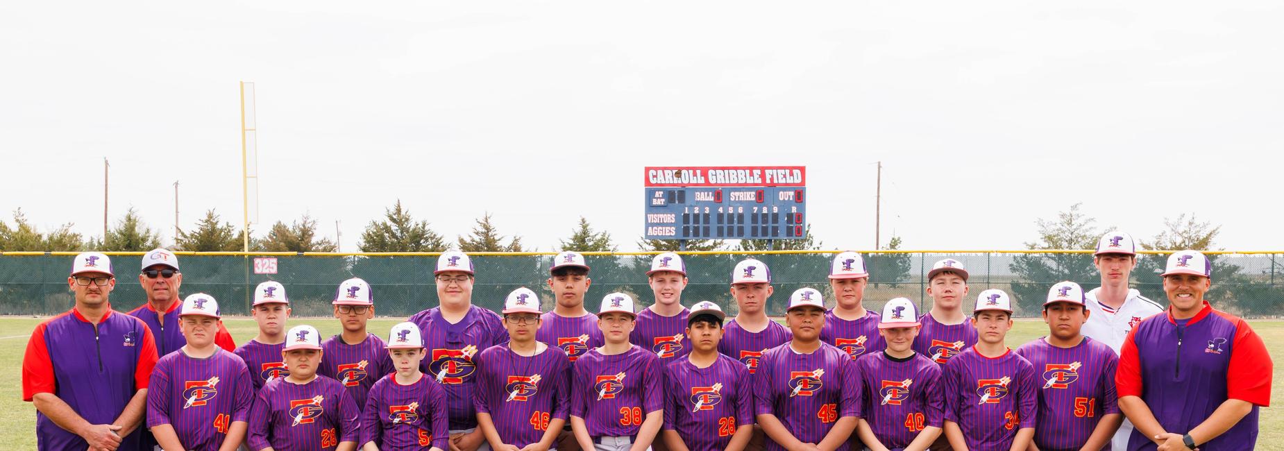 Team of young baseball players posing in purple uniforms on a field.