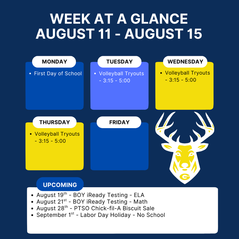 Week at a Glance