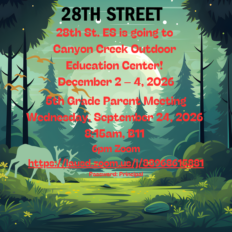 Camp Canyon Creek