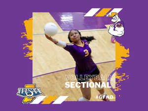 promo graphic - volleyball sectional 2025