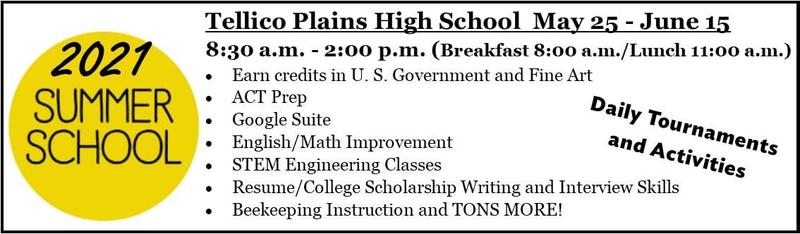 summer school 2021