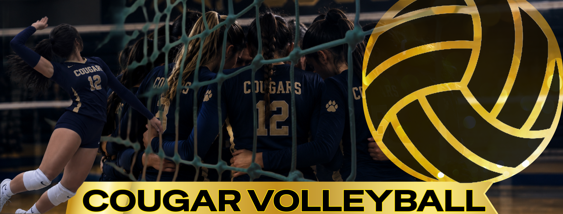 Volleyball